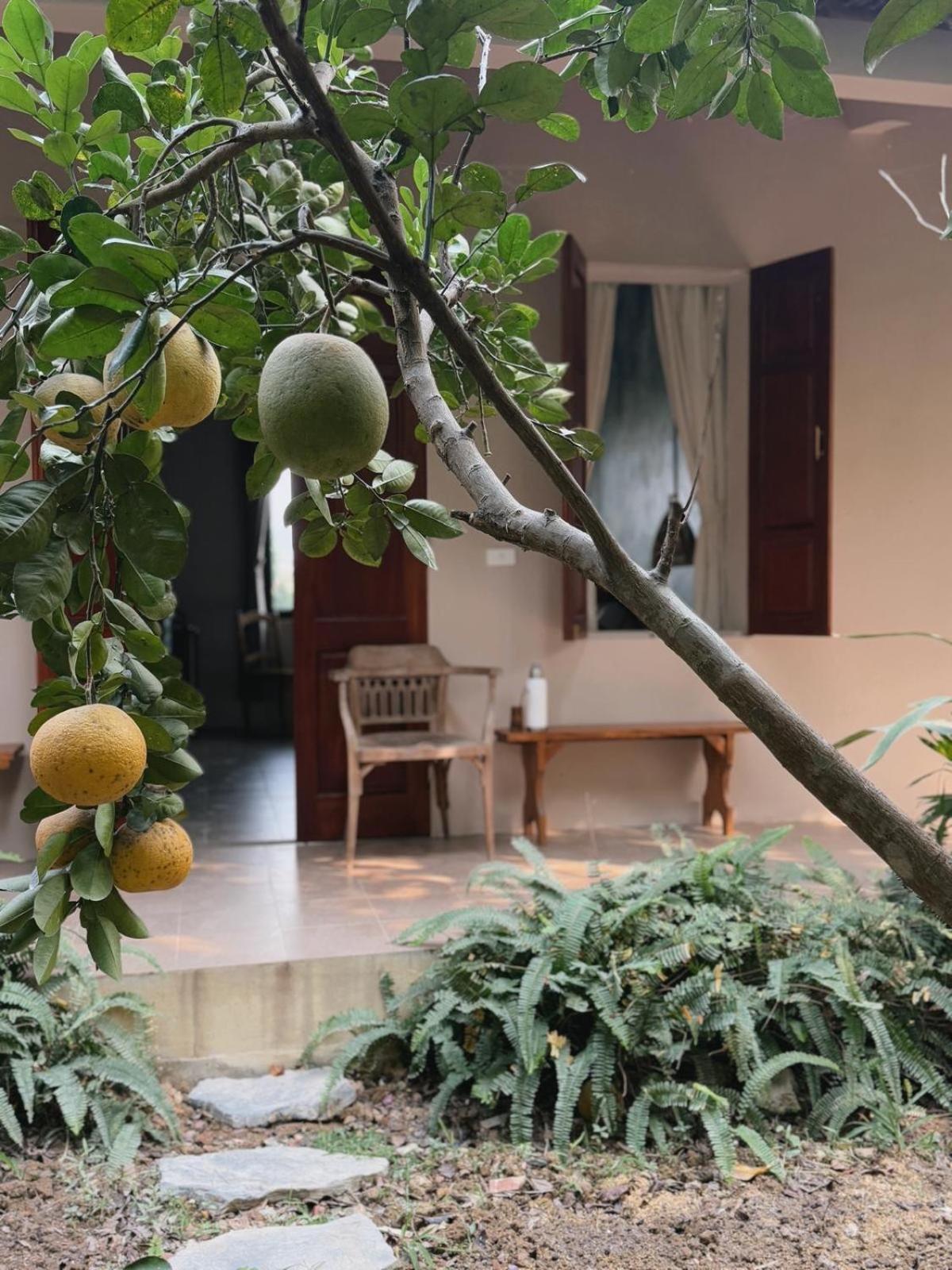 Nha Lua Homestay 닌빈 외부 사진